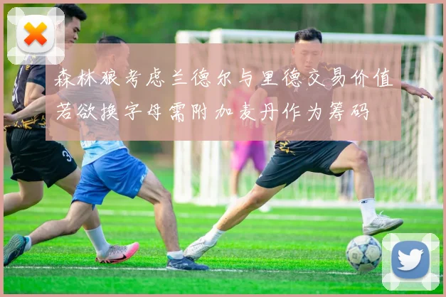 森林狼考虑兰德尔与里德交易价值若欲换字母需附加麦丹作为筹码