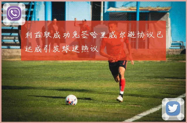 利兹联成功免签哈里威尔逊协议已达成引发球迷热议